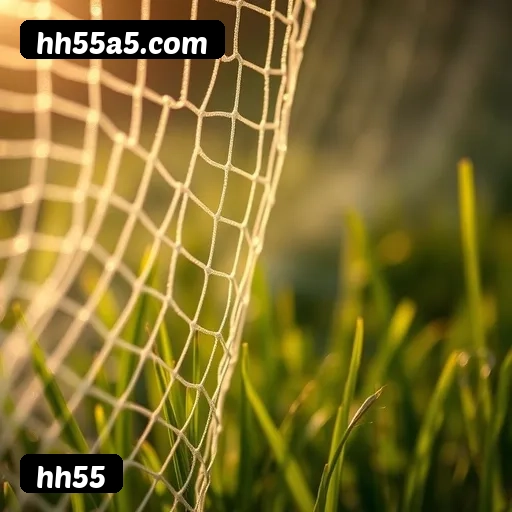 Tabela RTP dos jogos de cassino da hh55